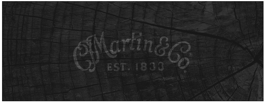 【アコースティックギター：C.F.Martin】マーチン2019年新製品、幻のD-28BISGBY!!!島村楽器ららぽーと甲子園店に入荷！！！