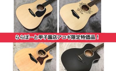 【アコースティックギター】甲子園店だけの！お得な限定1本ご紹介！！