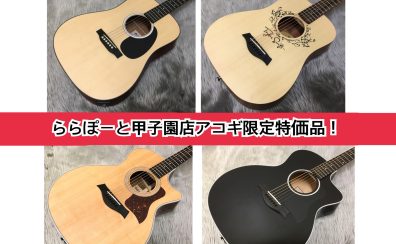 【アコースティックギター】甲子園店だけの！お得な限定1本ご紹介！！