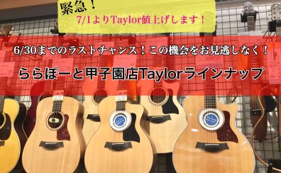 【アコギ】7/1よりTaylor値上げします！甲子園店ラインナップご紹介