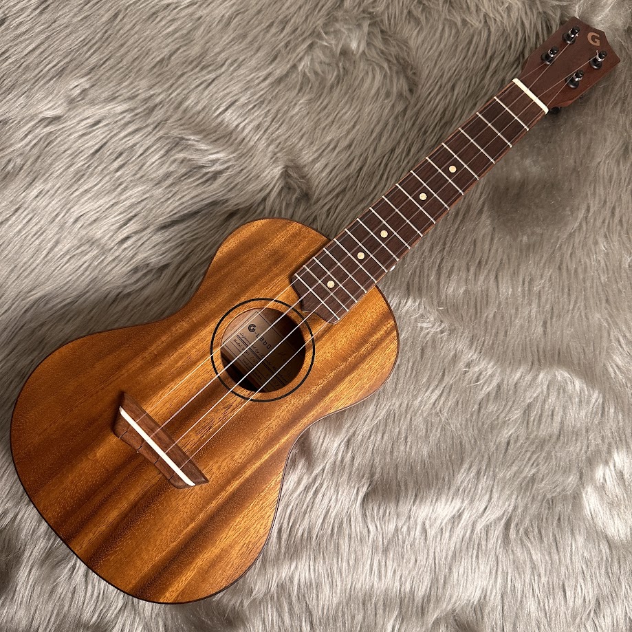 ガズのわがままウクレレ入荷しました！｜島村楽器 ららぽーと甲子園店 