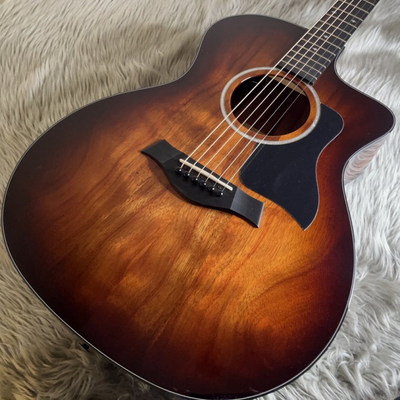 Taylor224ce-Koa DLX       