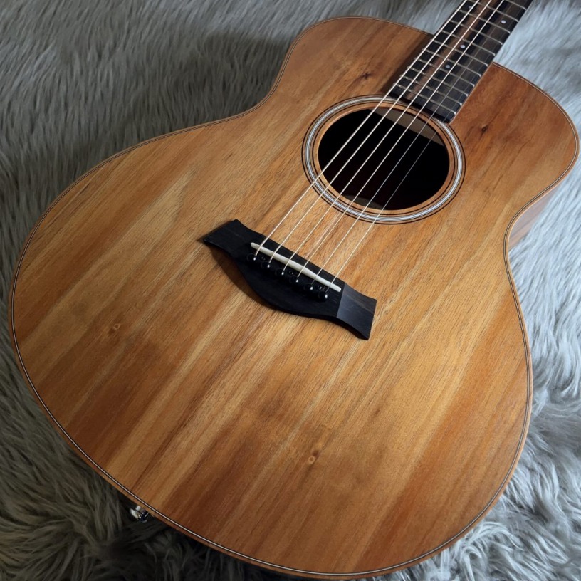 TaylorGS Mini-e KOA