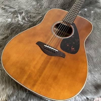 YAMAHAFGX865 