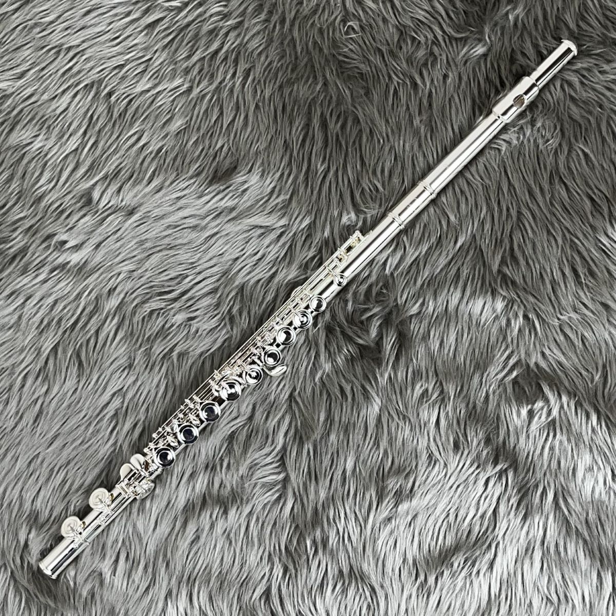 AltusA10E