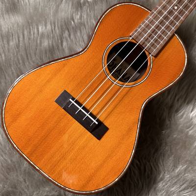 Ohana コンサートサイズCK-50G