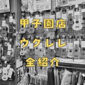 【ウクレレ】展示ラインナップ一覧紹介（11/1更新）