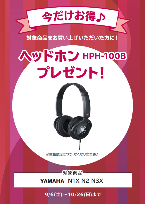 YAMAHAN1X・N2・N3X