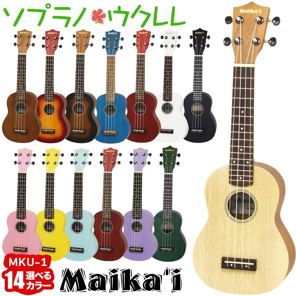 MaikaiMKU-1 100本限定！