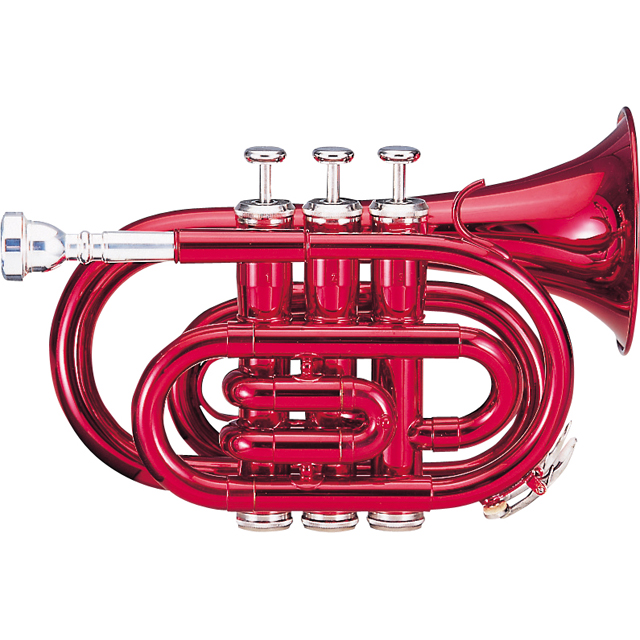 ケルントナーKTR-33P/MRD 1本限定！