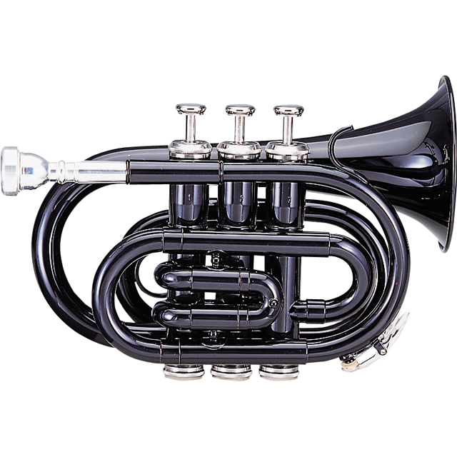 ケルントナーKTR-33P/BK 1本限定！