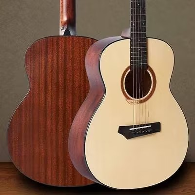Gopher Wood Guitars スモールボディギターi110S