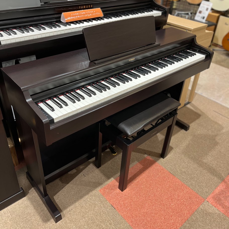 展示中YDP-164【2021年製】