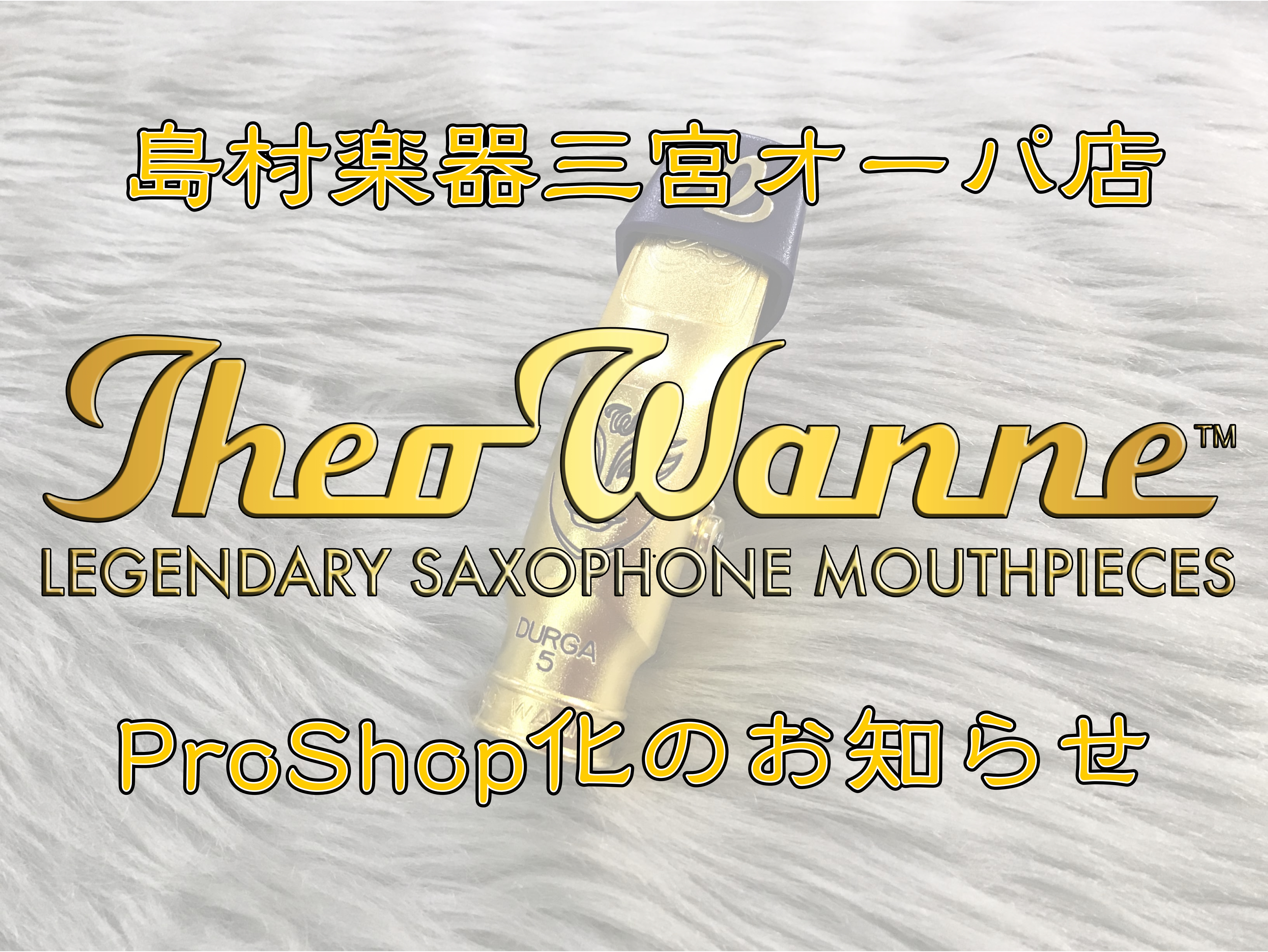 兵庫県初のTheo Wanne Pro Shopに認定されました！ 島村楽器三宮オーパ店がハイクオリティマウスピースブランド「Theo Wanne」のPro Shopに認定されました！ 本ページではTheo Wanneの魅力を皆様へお伝えするとともに、Pro Shopならではの充実のラインナップを紹 […]