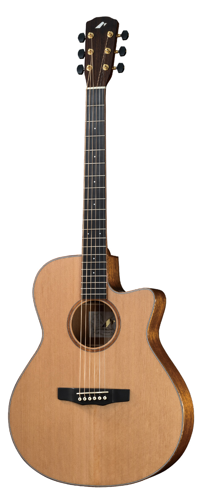 シダー×マホガニーの抜群のレスポンス！SC-61