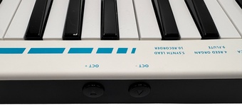 その他にも…いろいろできちゃいます✨