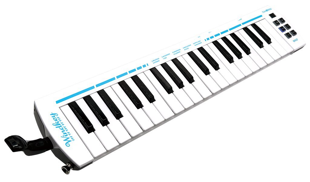 2024年から、鍵盤ハーモニカに力を入れてきた当店。この度遂に…ッ！【電子鍵盤ハーモニカ Windkey「ウィンキー」】を展示・販売することとなりました(*’ω’ノノ゛☆パチパチ当ブログでは、普通の鍵盤ハーモニカとの違いにフォーカスしてケンハモ担当 おいたがゆる～く書いていこうかなと思いますので、参 [&hellip;]