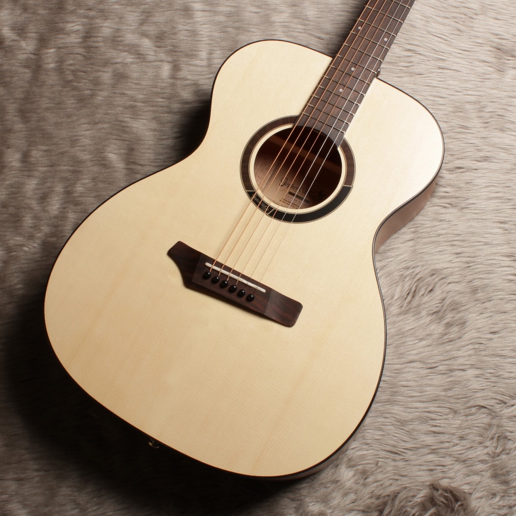 アコースティックギターGopher Wood GUITARS i110 【ゴフェルウッド・ギタース】