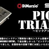 11/26~12/12　Pickup Changeable Guitar System　　PUCG トライアルツアー開催！　