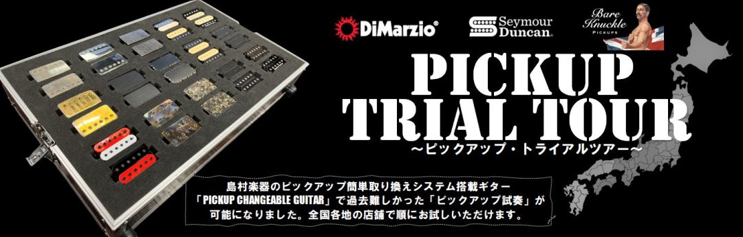 ~ Pickup Changeable Guitar System PUCG トライアルツアー
