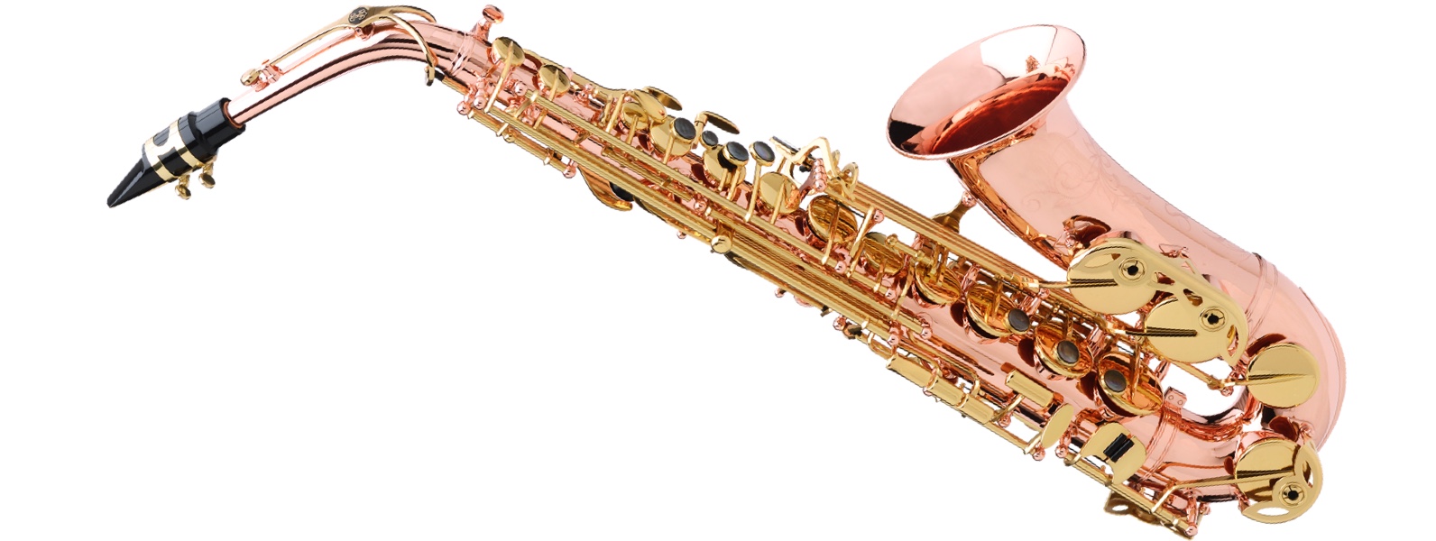アルトサックス】BuffetCrampon『Senzo(センゾ)芳賀大峰氏選定品』1年