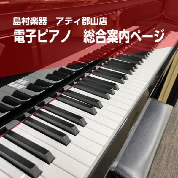 【電子ピアノ展示ラインナップ】<br />
常時20台前後の電子ピアノを展示しております。