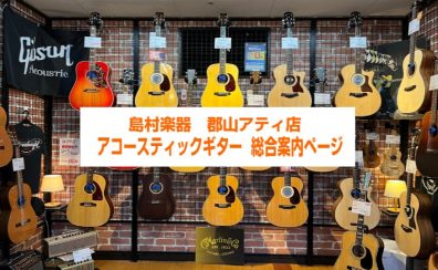 【アコースティックギター総合案内】アコギを始めるなら島村楽器郡山アティ店へ！