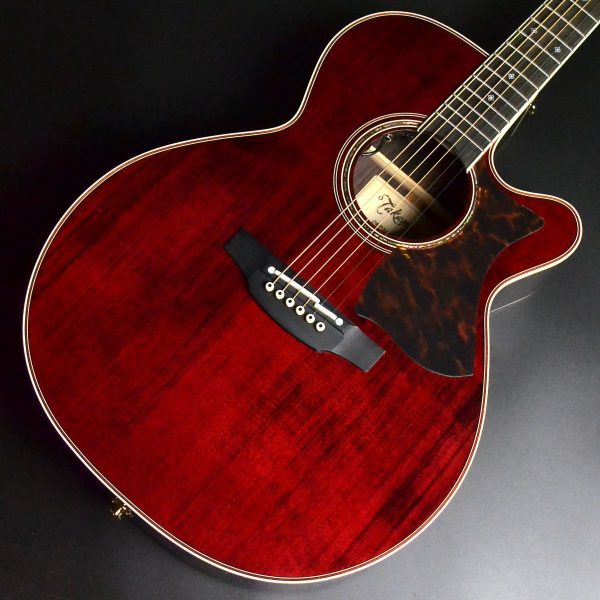 Takamine DMP50S WR エレアコギター 【島村楽器 x Takamine コラボモデル】