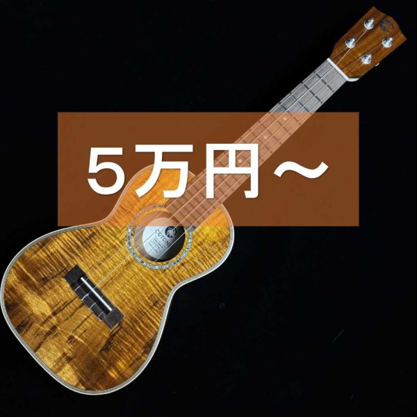 5万円以上のコンサートウクレレ<br />
在庫情報はこちら▶