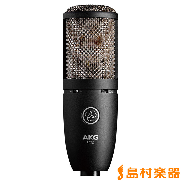 AKG P220 