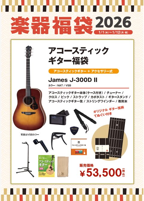 JamesJ-300DⅡセット　カラー：NAT/VSB