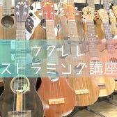 【2026年7月26日(日)開催】サイトウユウキのウクレレ ストラミング講座