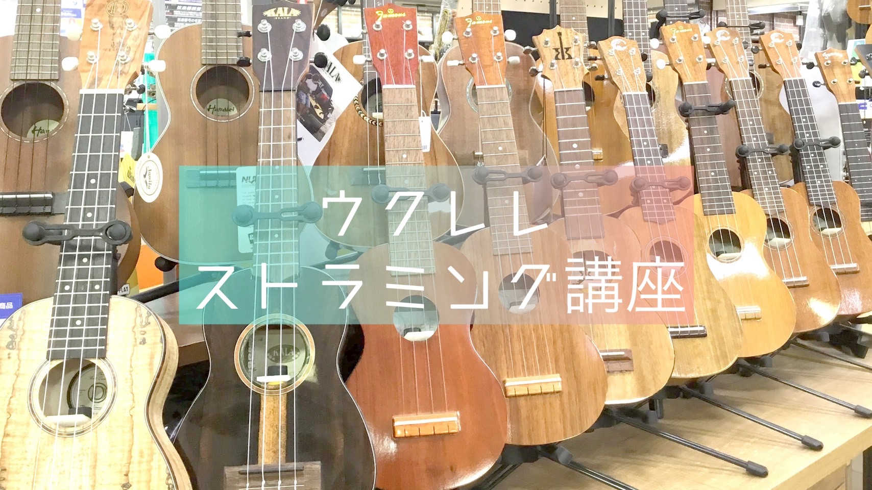 CONTENTSウクレレ持って集まれー！！エントリーはこちらから！ウクレレ持って集まれー！！ 郡山アティ店では、2026年7月26日(日)に当店ウクレレ教室講師のサイトウ先生によるウクレレイベントを開催します。今回のテーマは『ストラミング』です！ "&nbsp;ある程度コード弾き出来るけど、難しいリ [&hellip;]