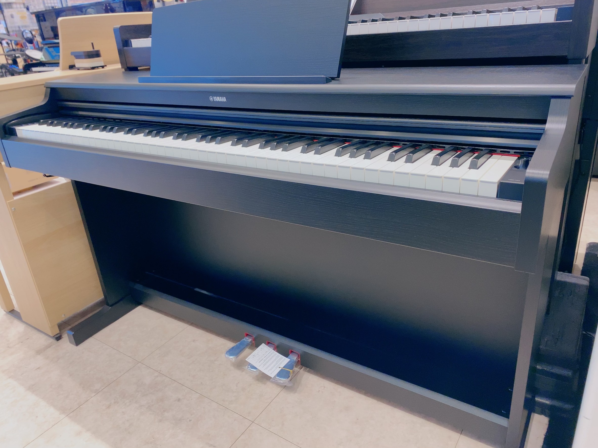 YAMAHA/ARIUSYDP-165