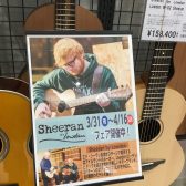 【アコースティックギター】Sheeran by Lowden フェア開催！3/31（金）~4/16（日）まで♪