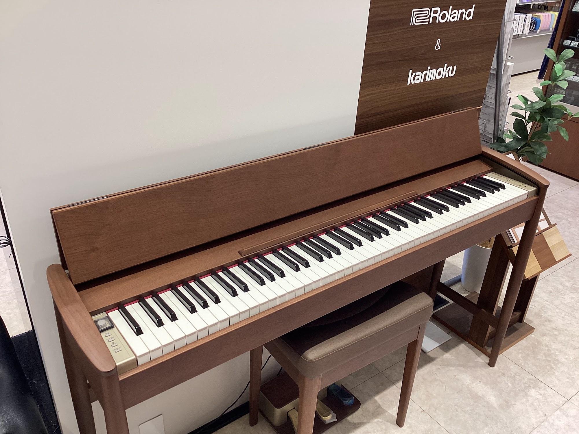 ROLANDKF-10