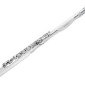 【新製品】Roland AE-Brisa抽選販売ご予約受付中!