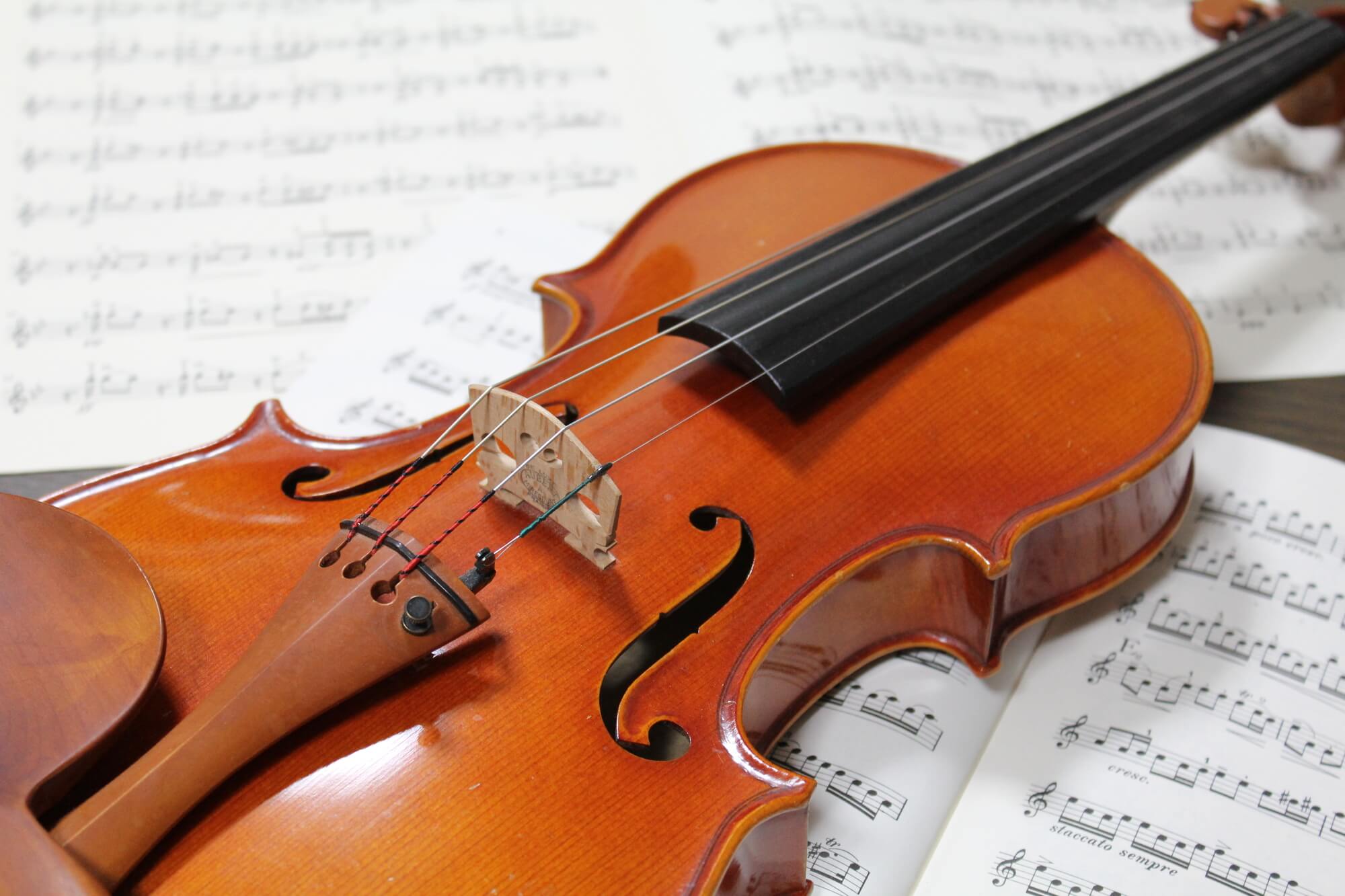 こんにちは！イオンモール熊本店　弦楽器担当の白石です！ 「ヴァイオリンに興味はあるけど難しそう…。」と感じている方のお悩みを解決するため、 未経験者の方に向けたヴァイオリン体験会を開催いたします！ ※こちらのイベントは初心者の方限定となっております。演奏力向上のためのレッスンではないためご了承くださ [&hellip;]