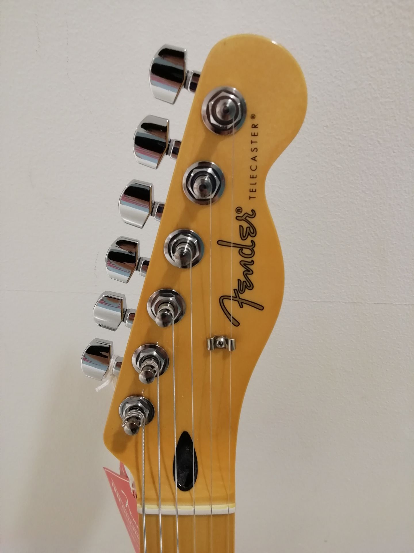 fenderフェア開催決定！9/13（金）~9/29（日）