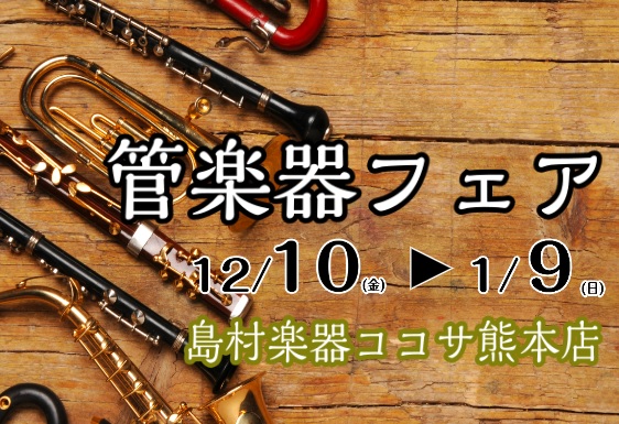 DeYu　アルトサックス　A500　島村楽器 島村楽器 DeYu A500 アルト サックス 2021年10月購入