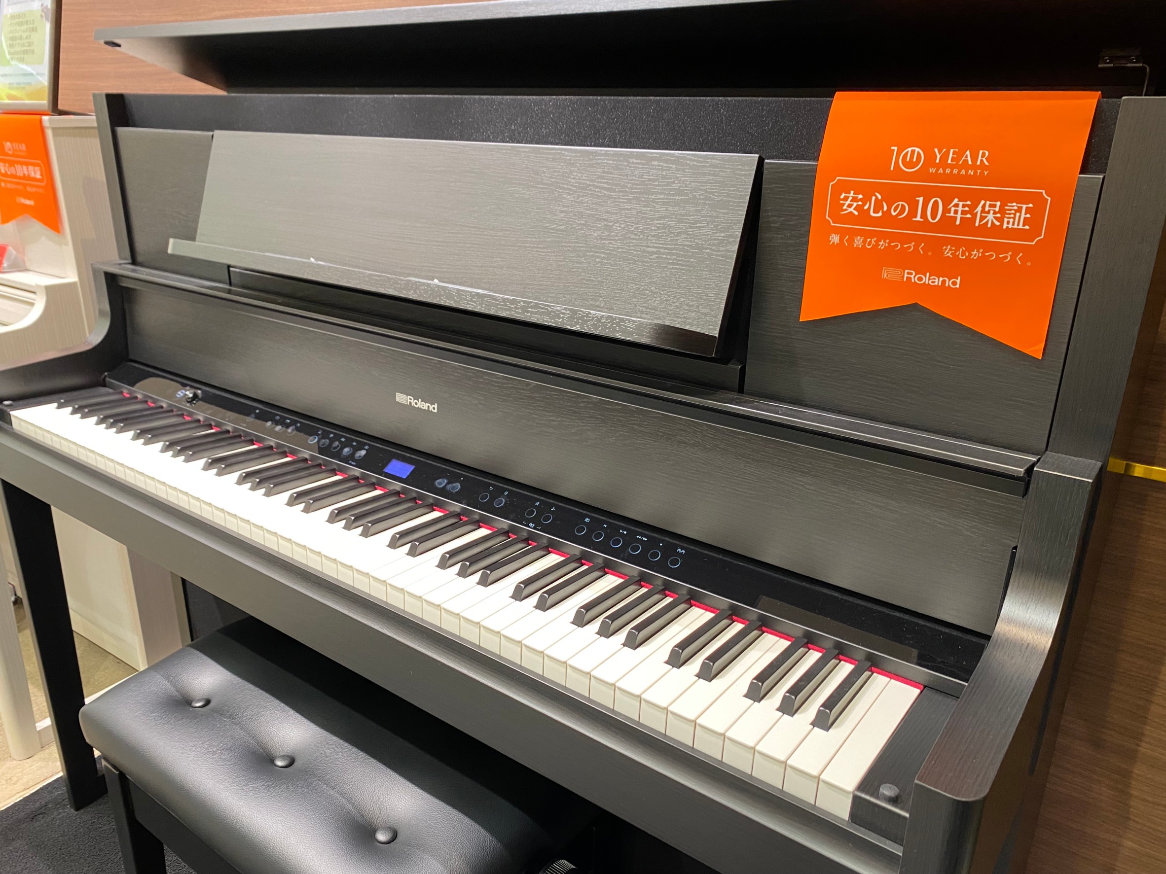 RolandLX9GP