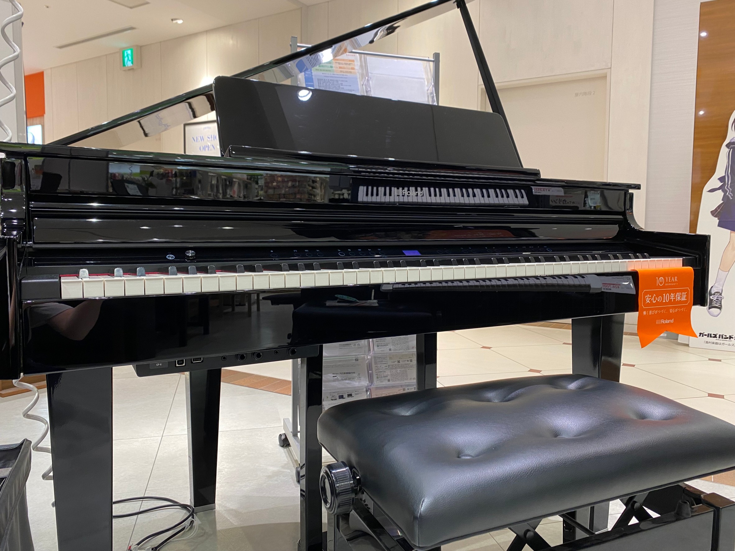 RolandGP-6