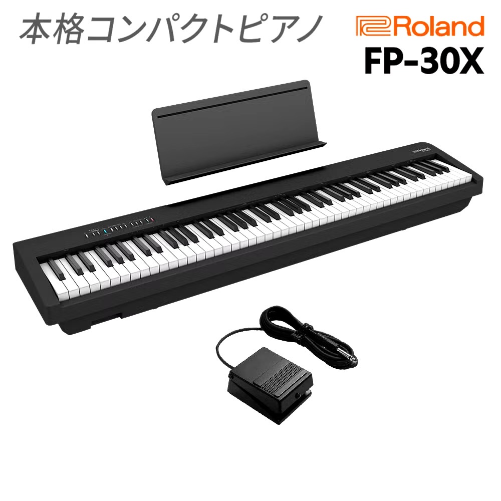 FP-30X