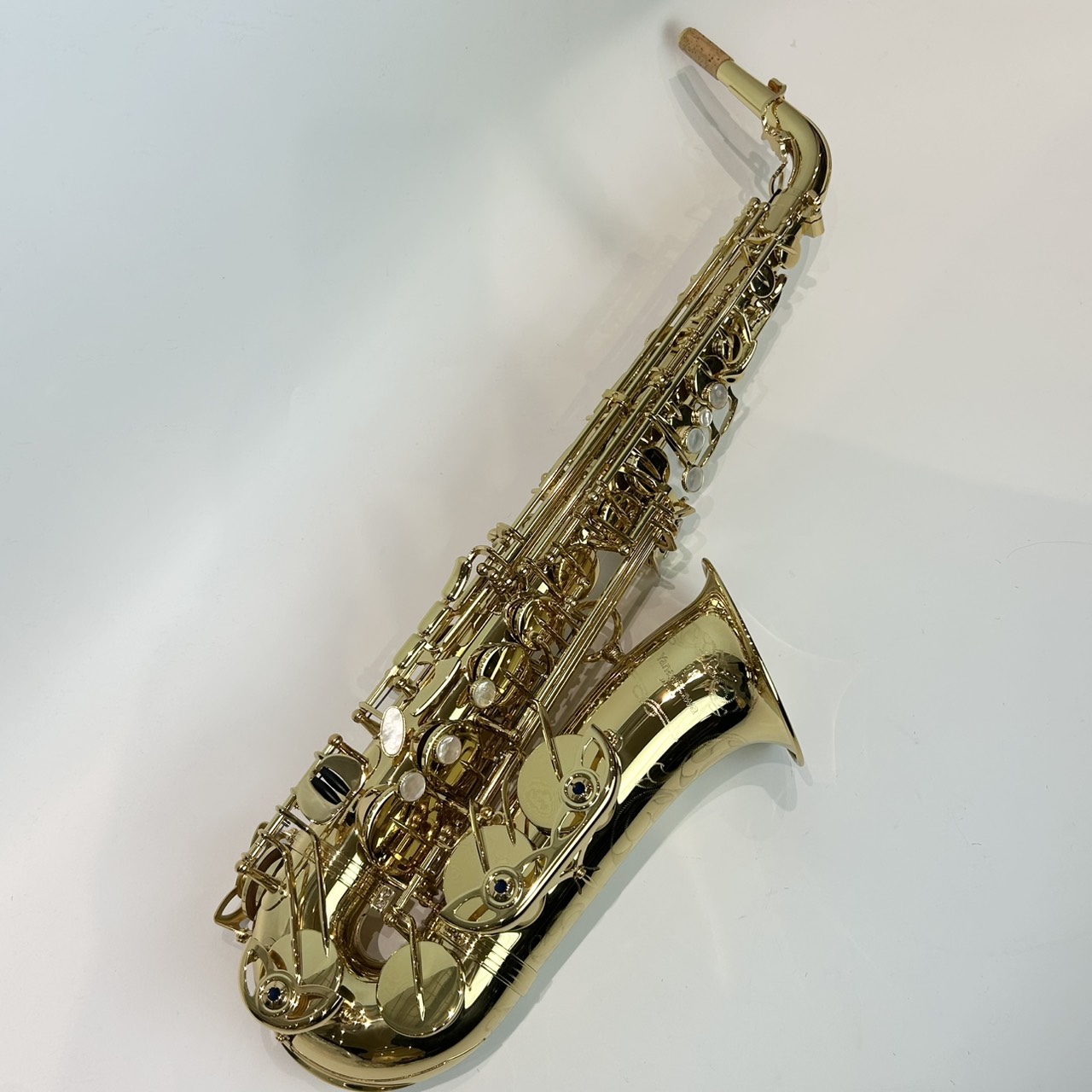 YANAGISAWAA-WO10（アルトサックス）