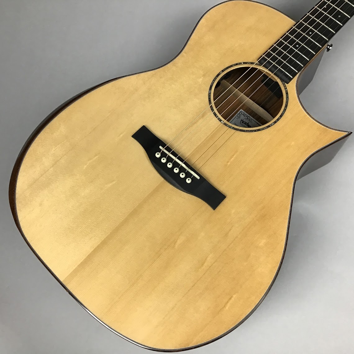 エレクトリックアコースティックギターHGAF-5100SE/C