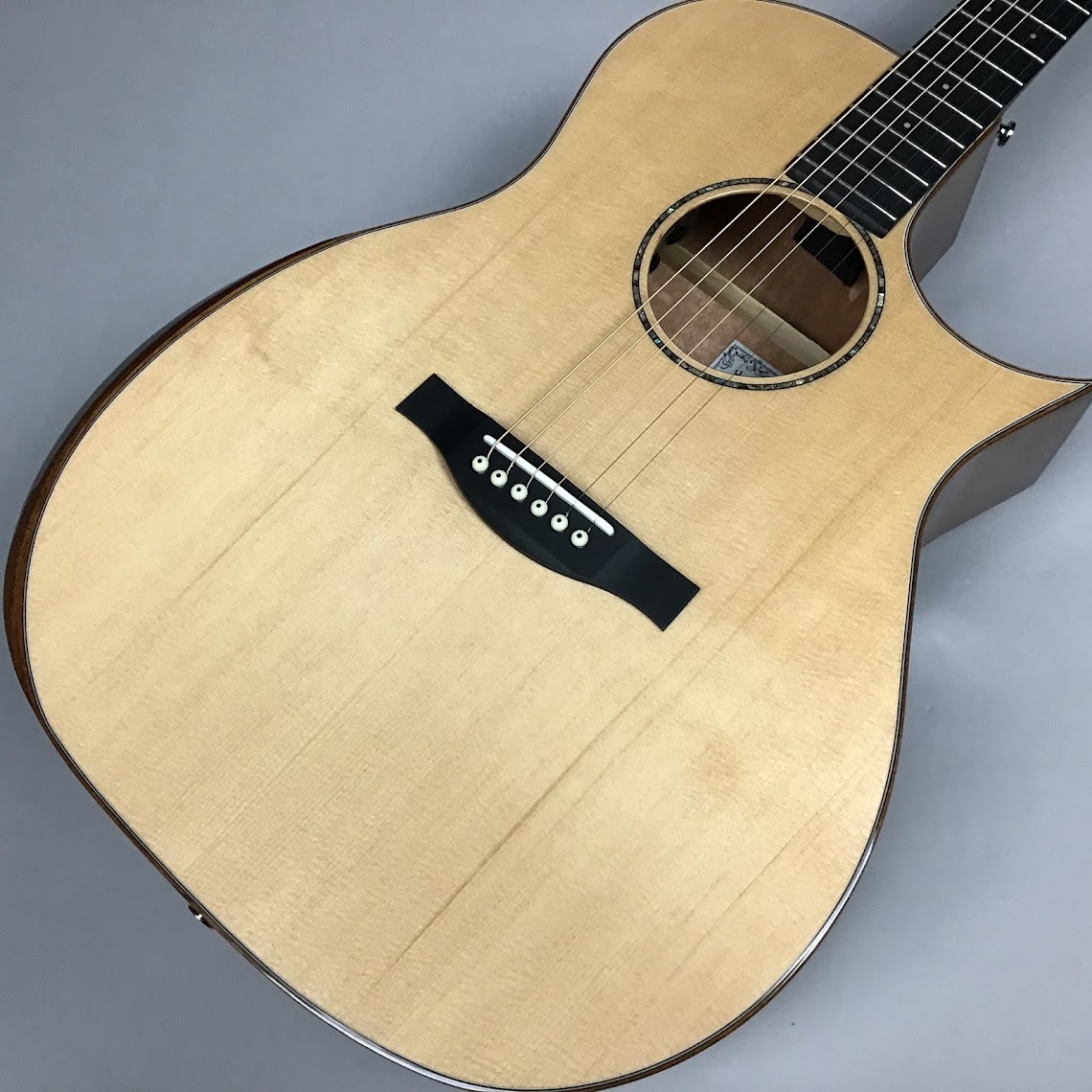 エレクトリックアコースティックギターHGAF-5100SE/FMH-C