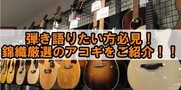 これからアコギを始めたい方、今より上のグレードを探している方にもお勧めできる3本をご紹介します!