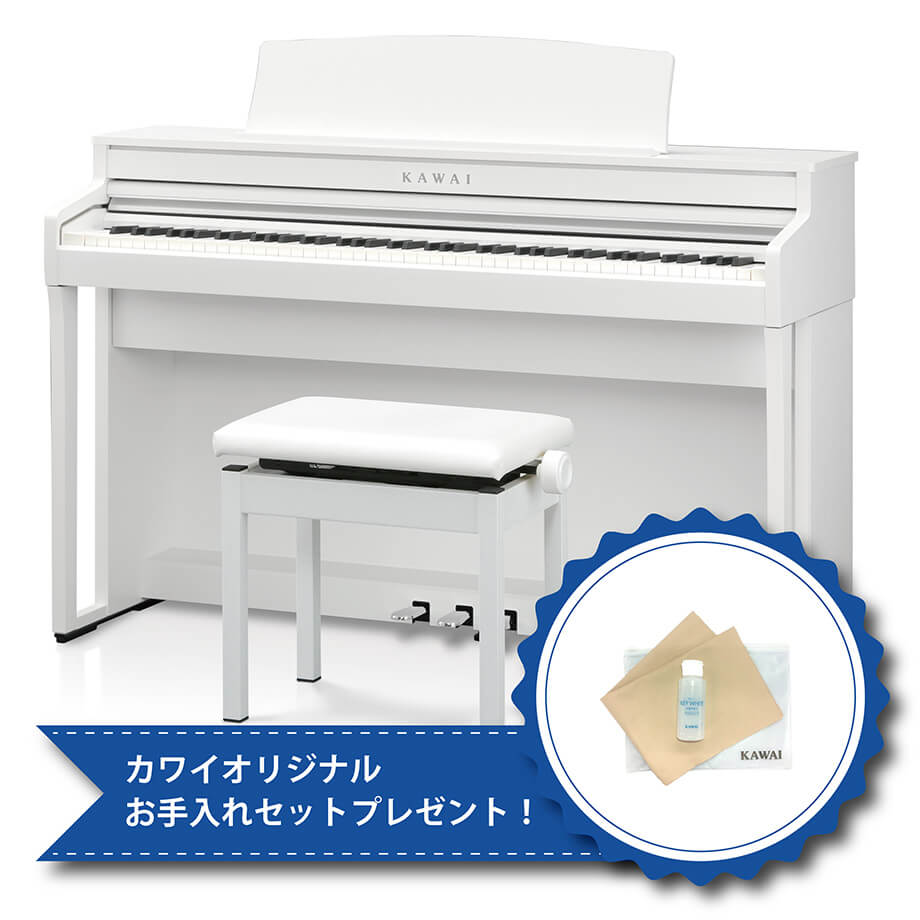 KAWAICA4900GP