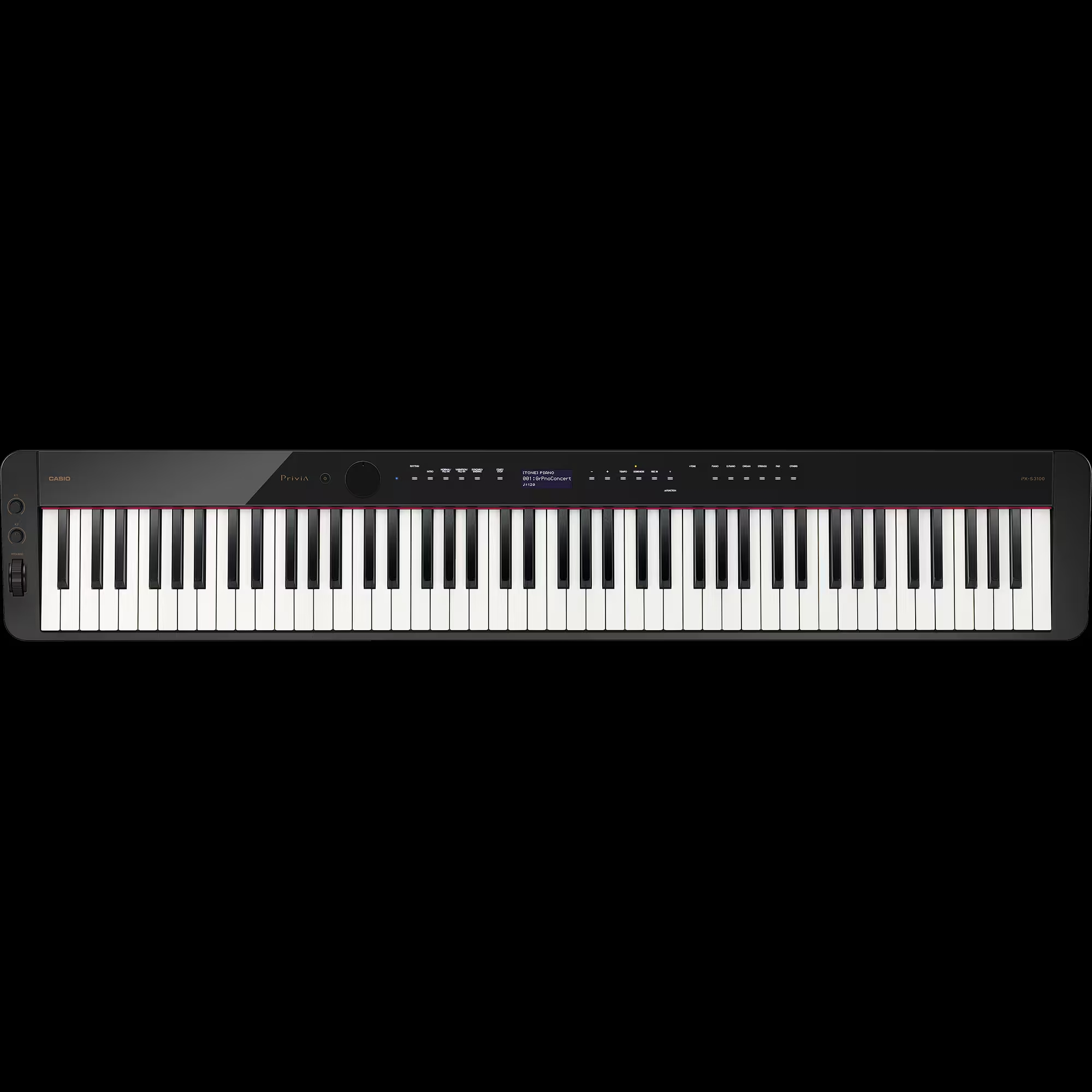 CASIOPX-S3100