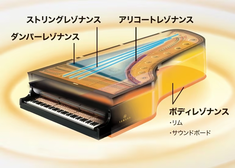 グランドピアノ全体から生まれる多彩な響きを再現する「バーチャル・レゾナンス・モデリング（VRM）」